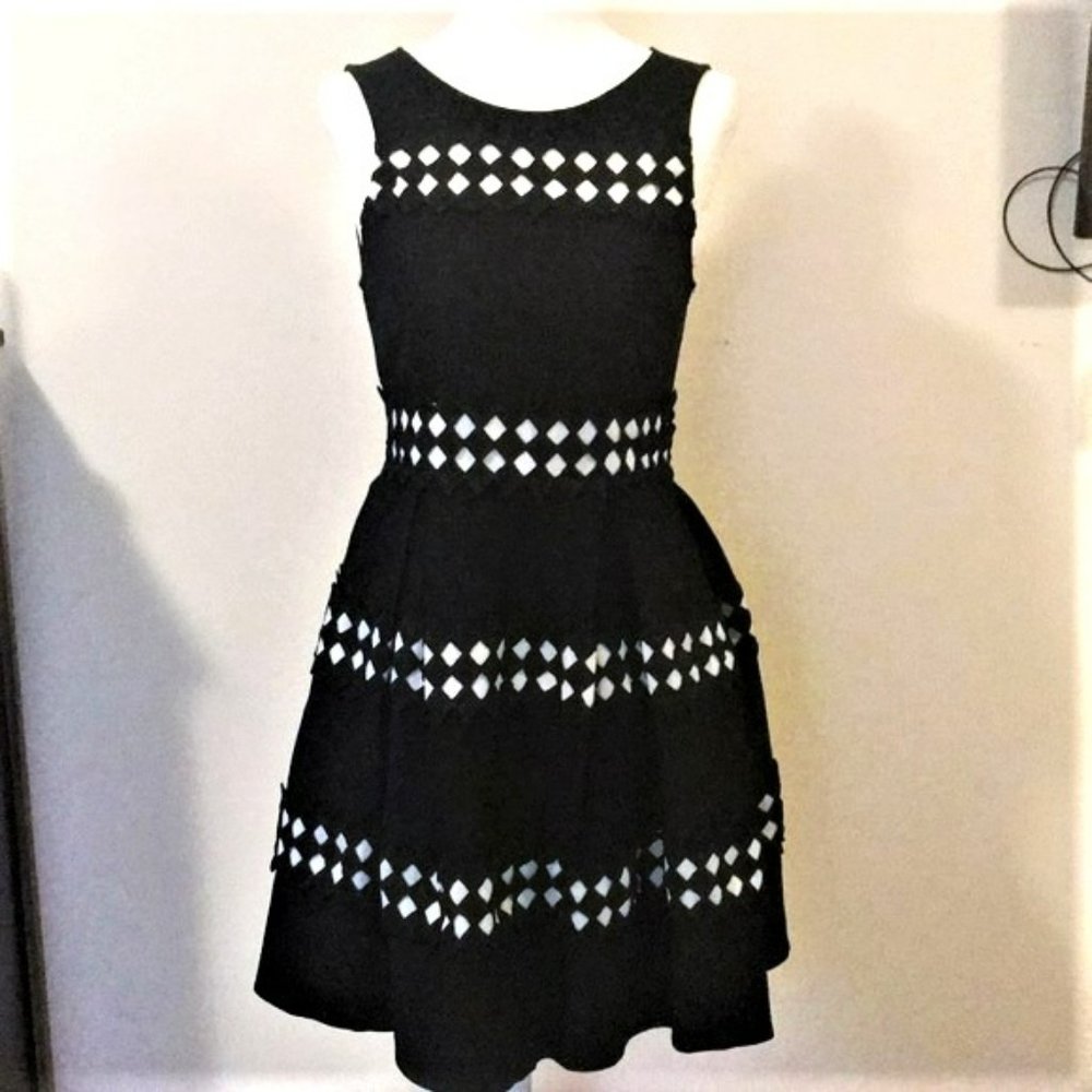 Francesca's Jun & Ivy Sleeveless Fit & Flare Dress, Black w/ White Detail